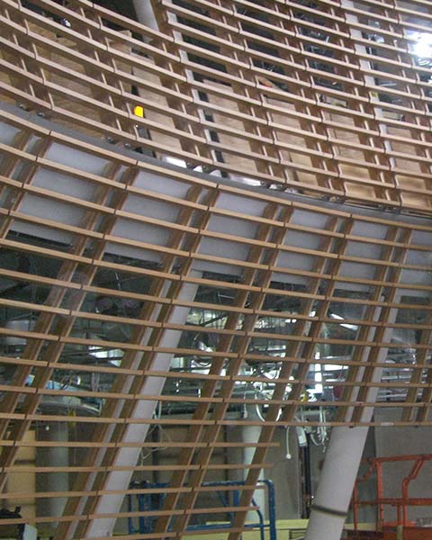 Rockefeller University